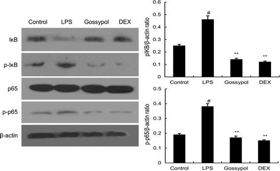 Fig. 7