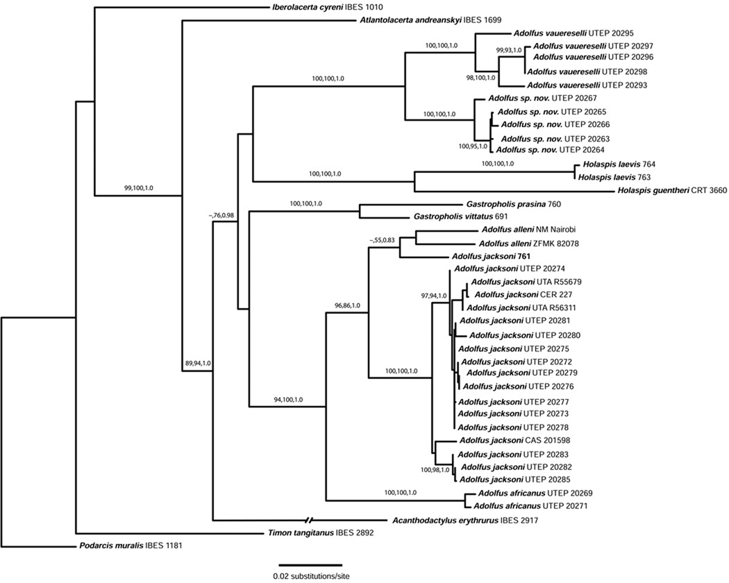 Figure 2