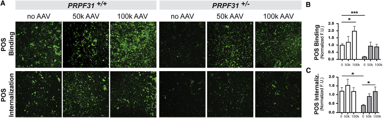 Figure 4