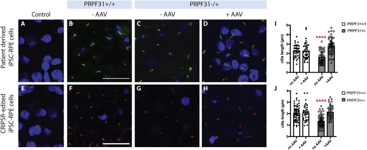 Figure 6