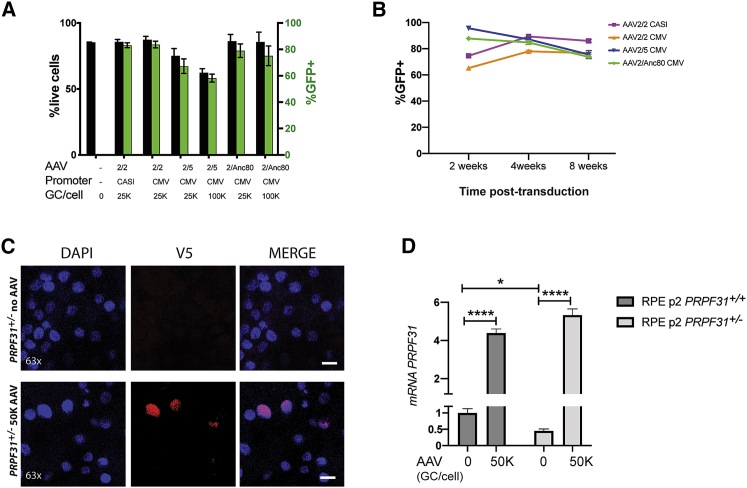 Figure 3