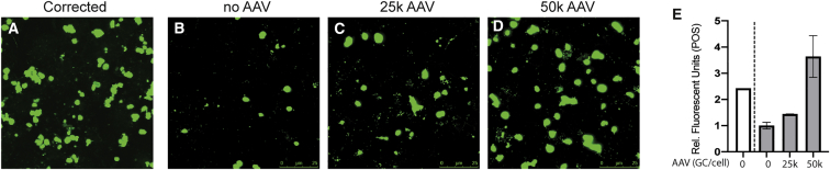 Figure 5