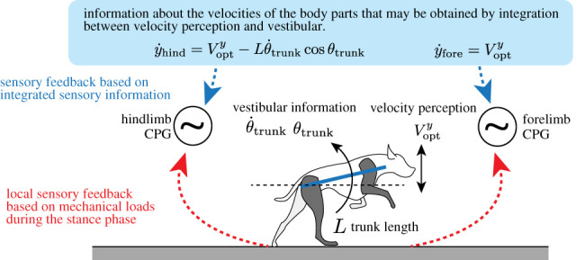 Figure 9. 