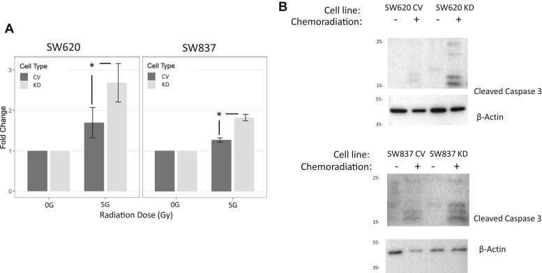 Figure 6