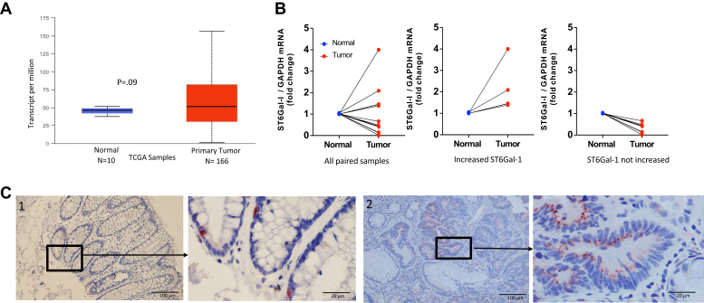 Figure 2