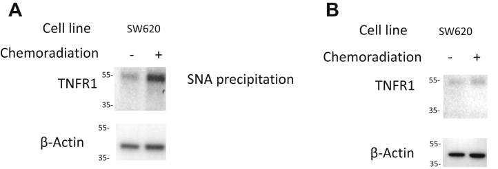 Figure 7