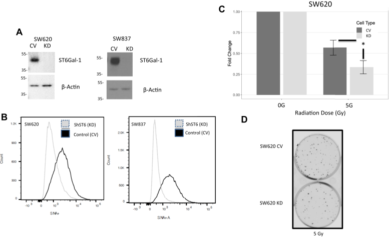 Figure 5