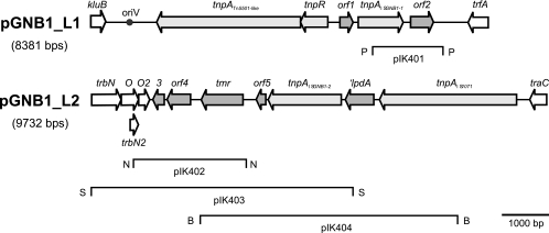 FIG. 1.