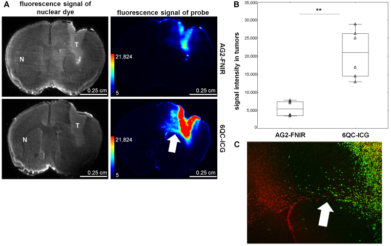 FIG. 3.