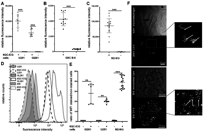 FIG. 1.