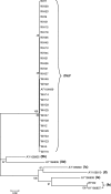 FIG. 3.