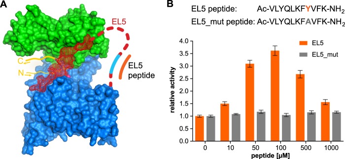 FIGURE 5.