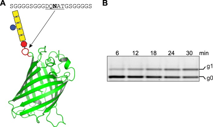 FIGURE 2.