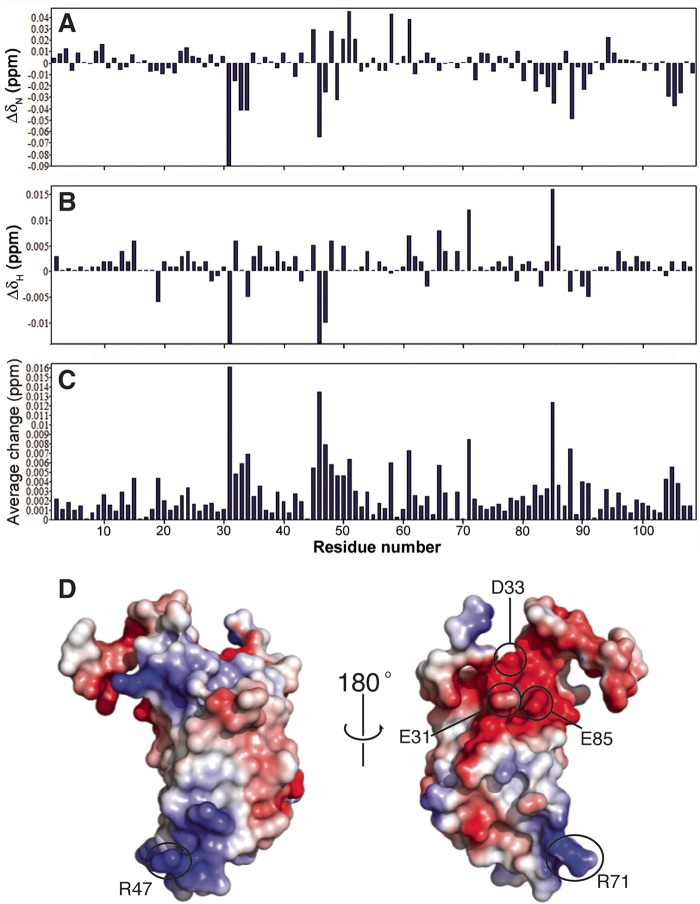 FIG 2 