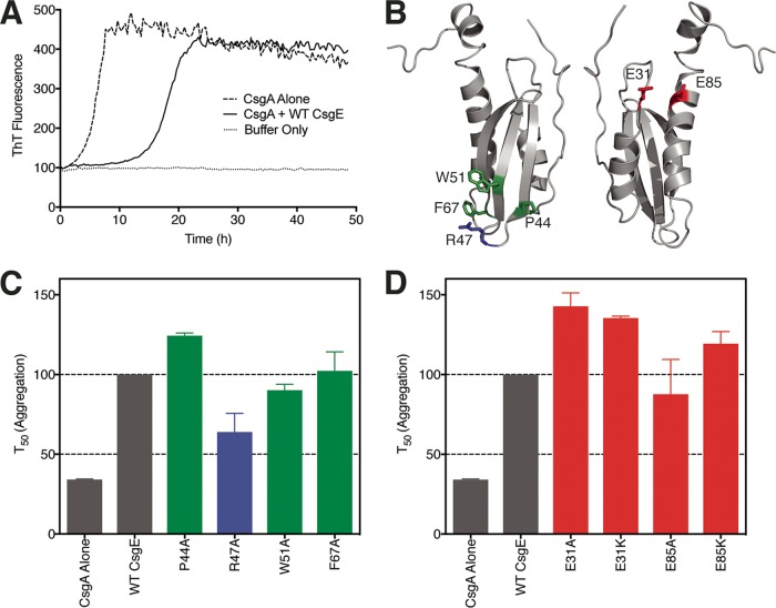 FIG 4 