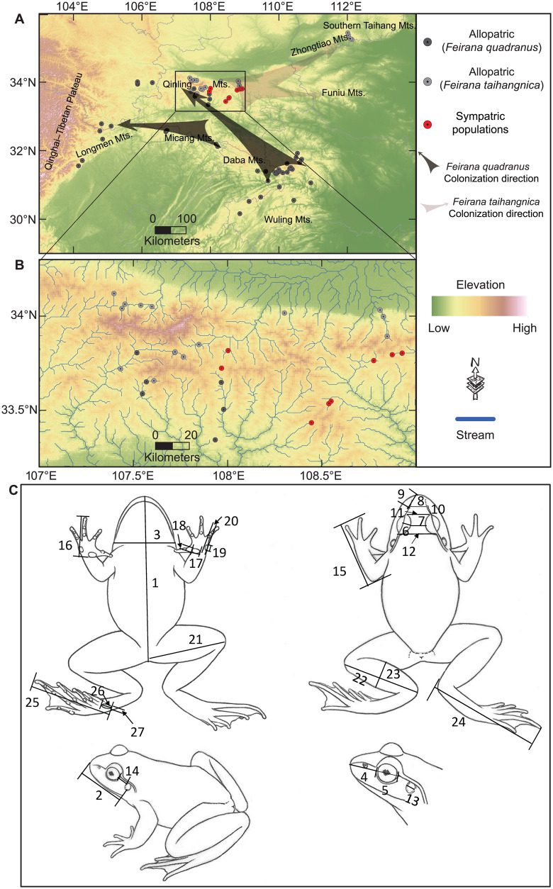 Figure 2.