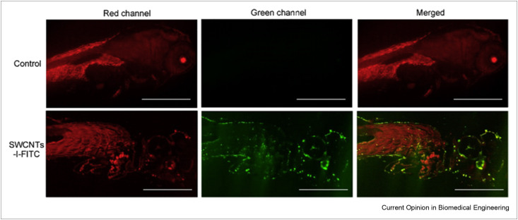 Figure 3