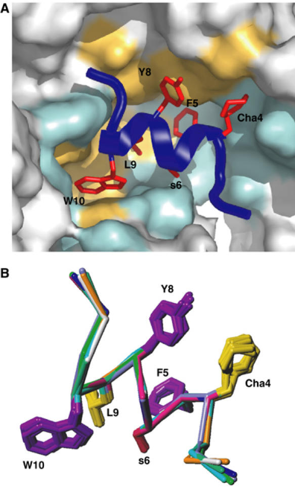 Figure 5