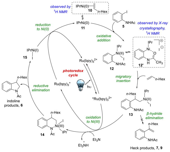 Scheme 6