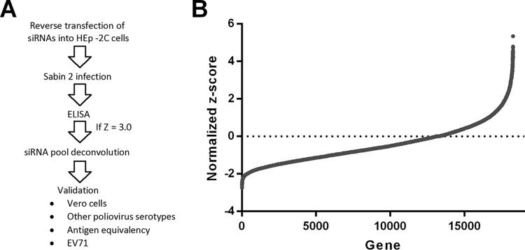 FIG 1