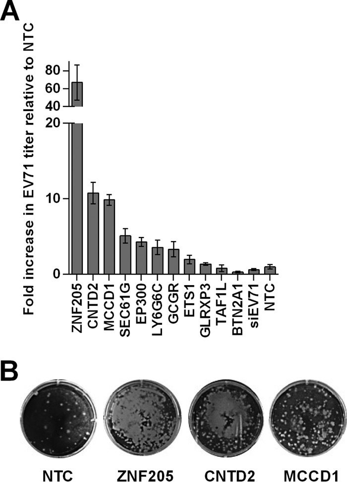 FIG 4