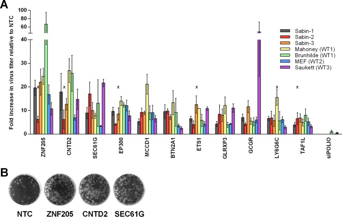 FIG 2