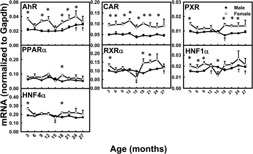 Fig. 12.