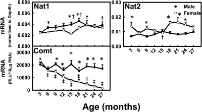 Fig. 10.