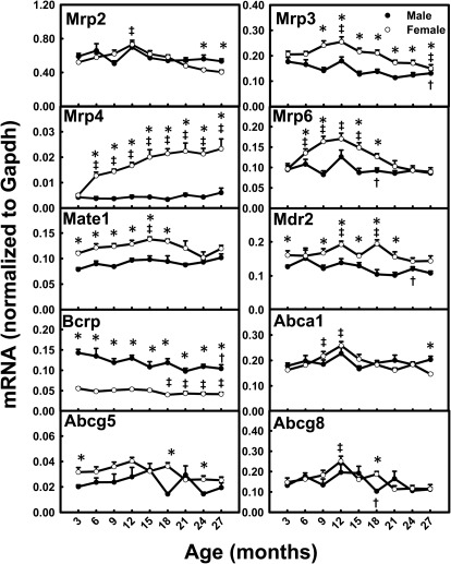 Fig. 11.