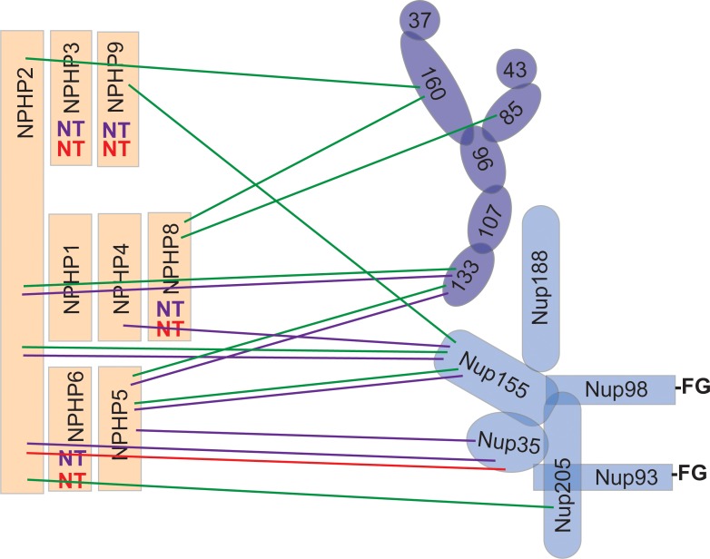 Fig 6