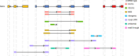 Figure 2—figure supplement 4.