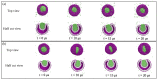 Figure 24