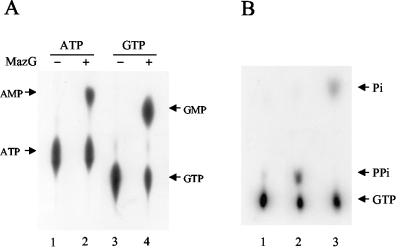 FIG. 4.