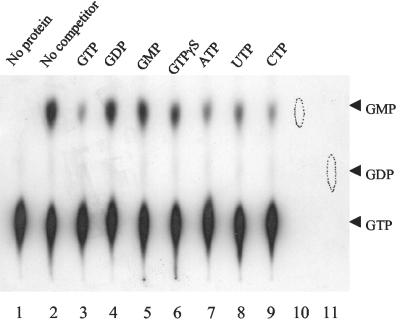 FIG. 5.