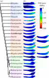 Figure 1.