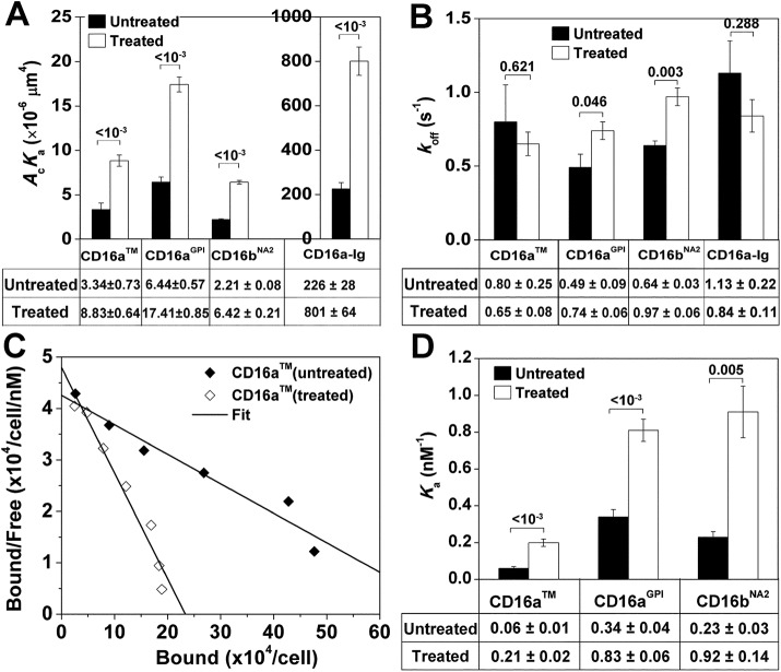 FIGURE 5: