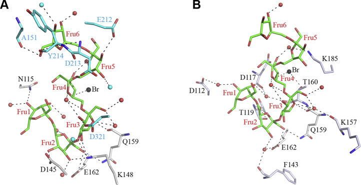 Figure 3