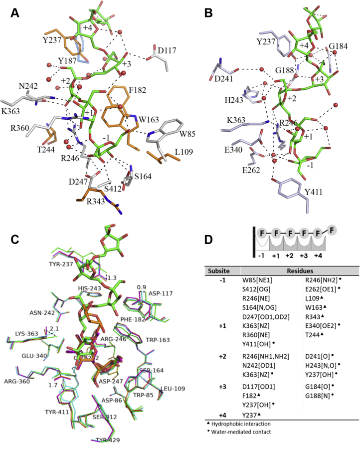 Figure 2