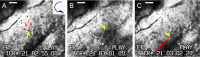 FIG. 5
