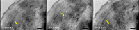 FIG. 6