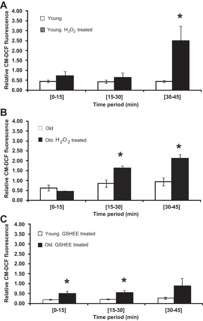 Fig. 4.