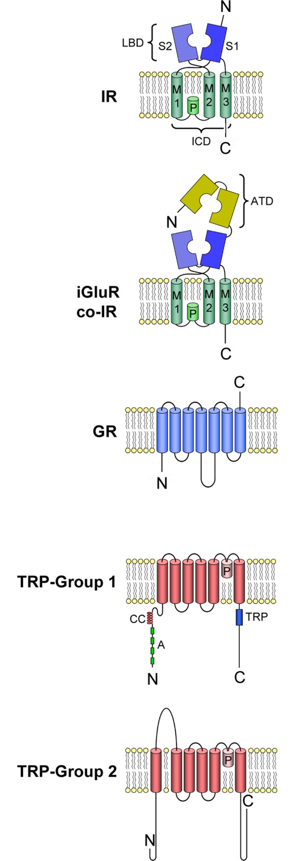 Fig 1