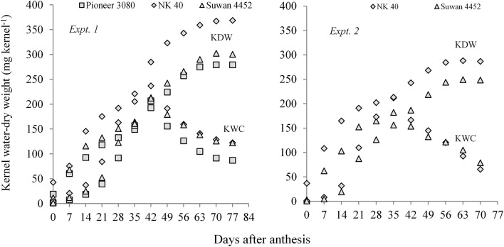 FIGURE 5