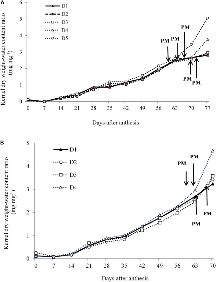 FIGURE 9