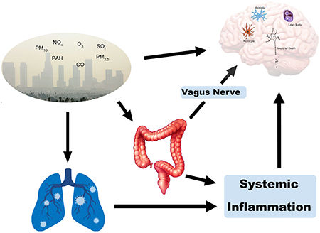 graphic file with name nihms-1767664-f0002.jpg