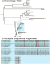 Supplementary Figure 1