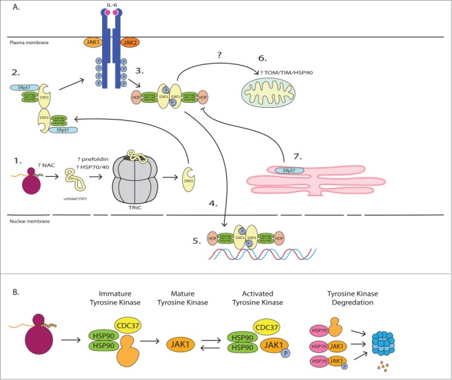 Figure 2.