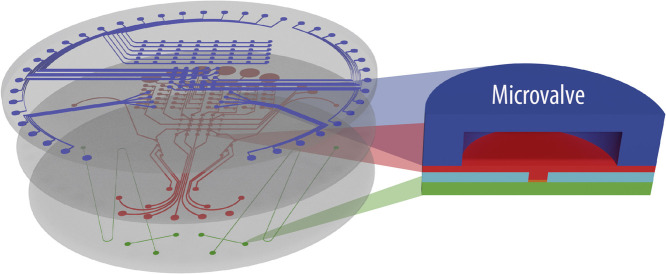 Image, graphical abstract