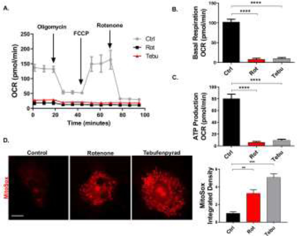 Figure 2: