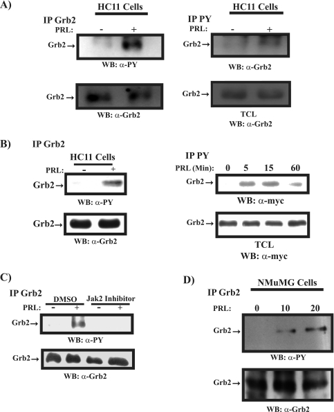 FIG. 5.